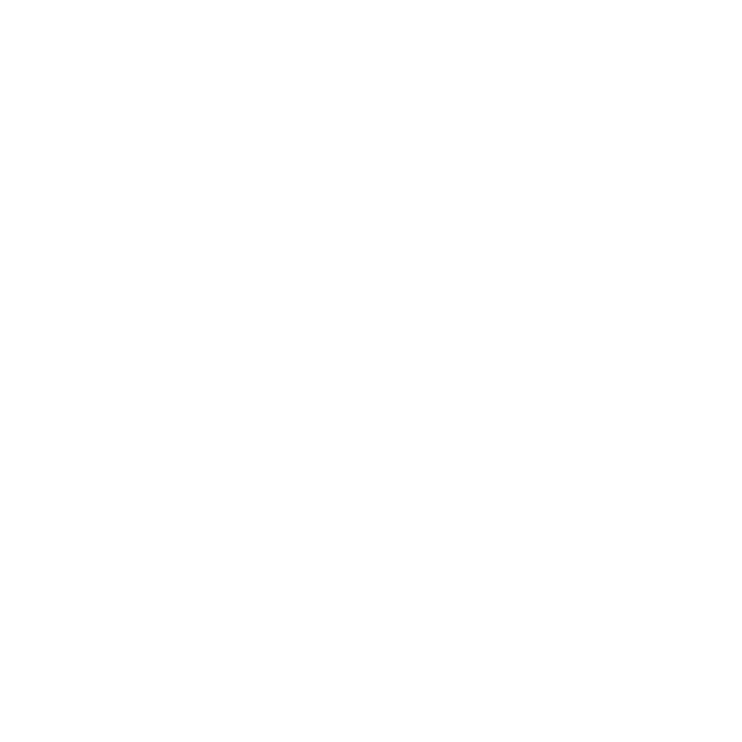 The Noir Barber Academy Logo
